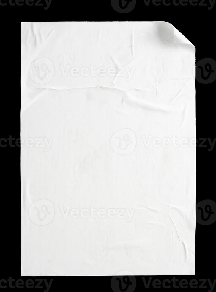 white glued poster mockup photo