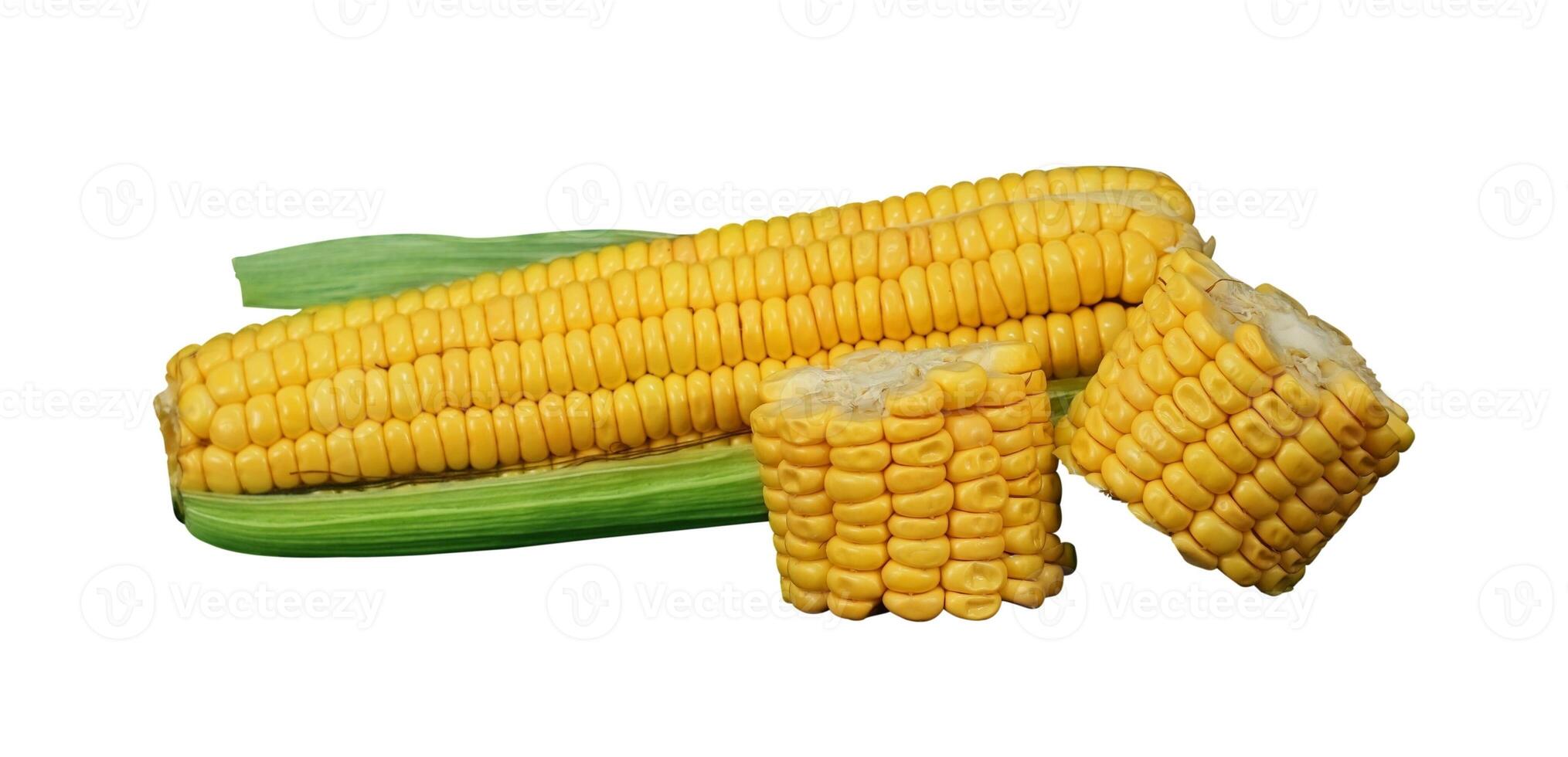 corn with cob isolated photo