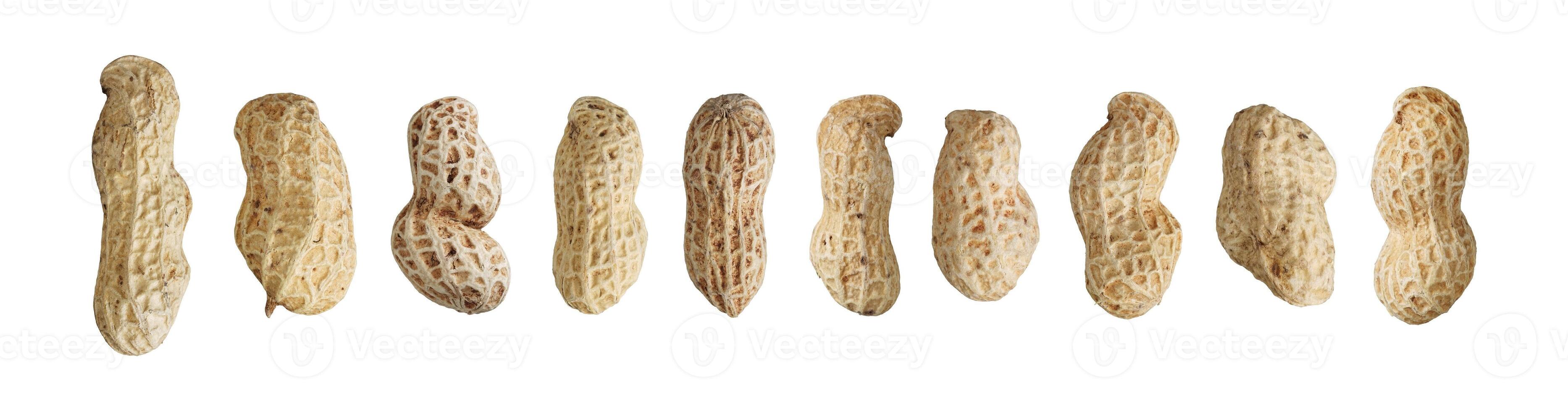 group of peanut isolated photo