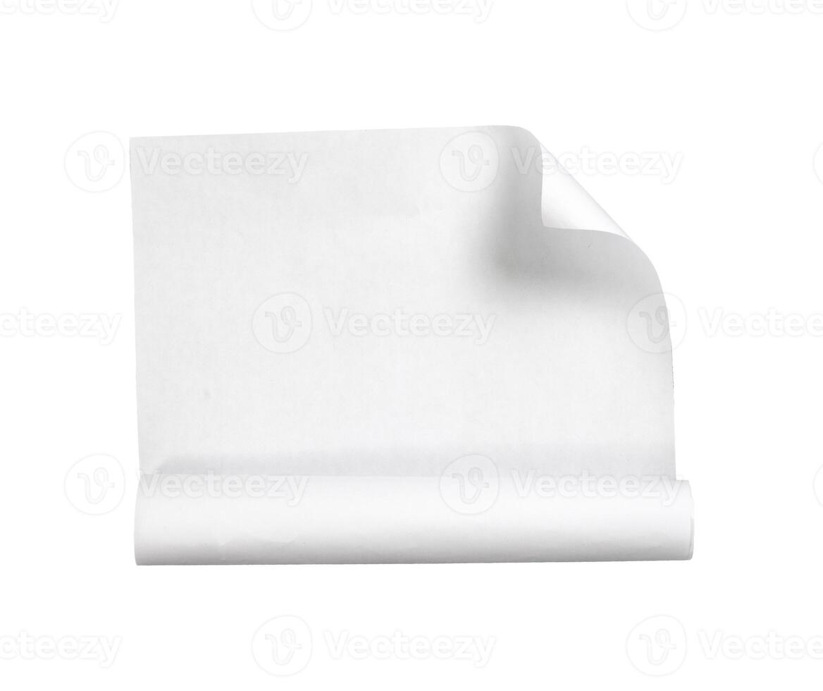 white paper sheet with roll isolated photo