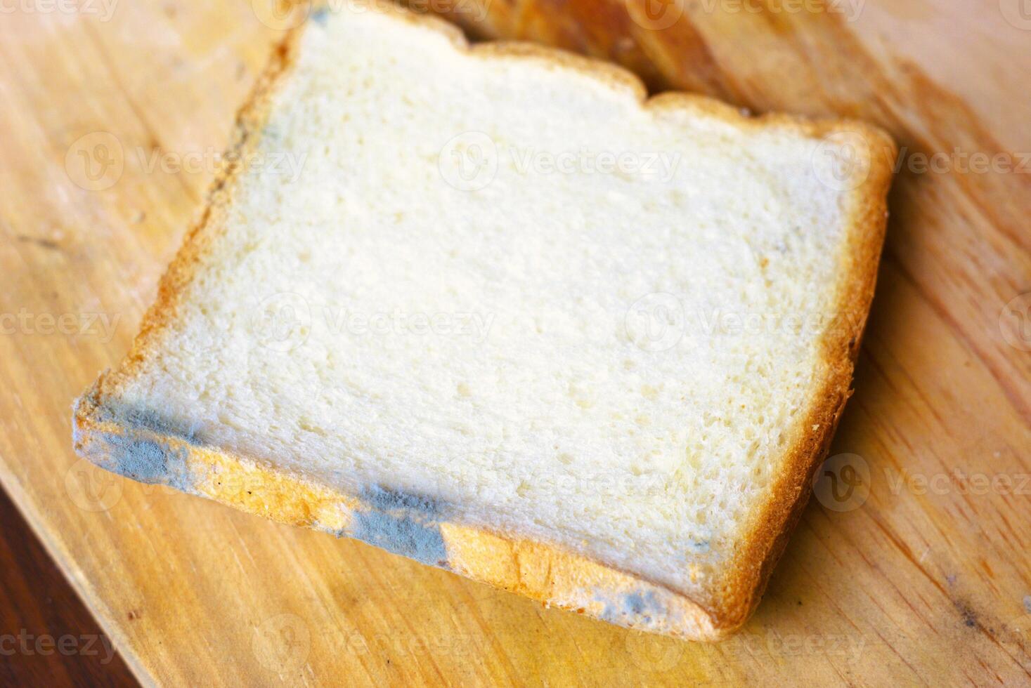 slice of bread with fungal mold photo