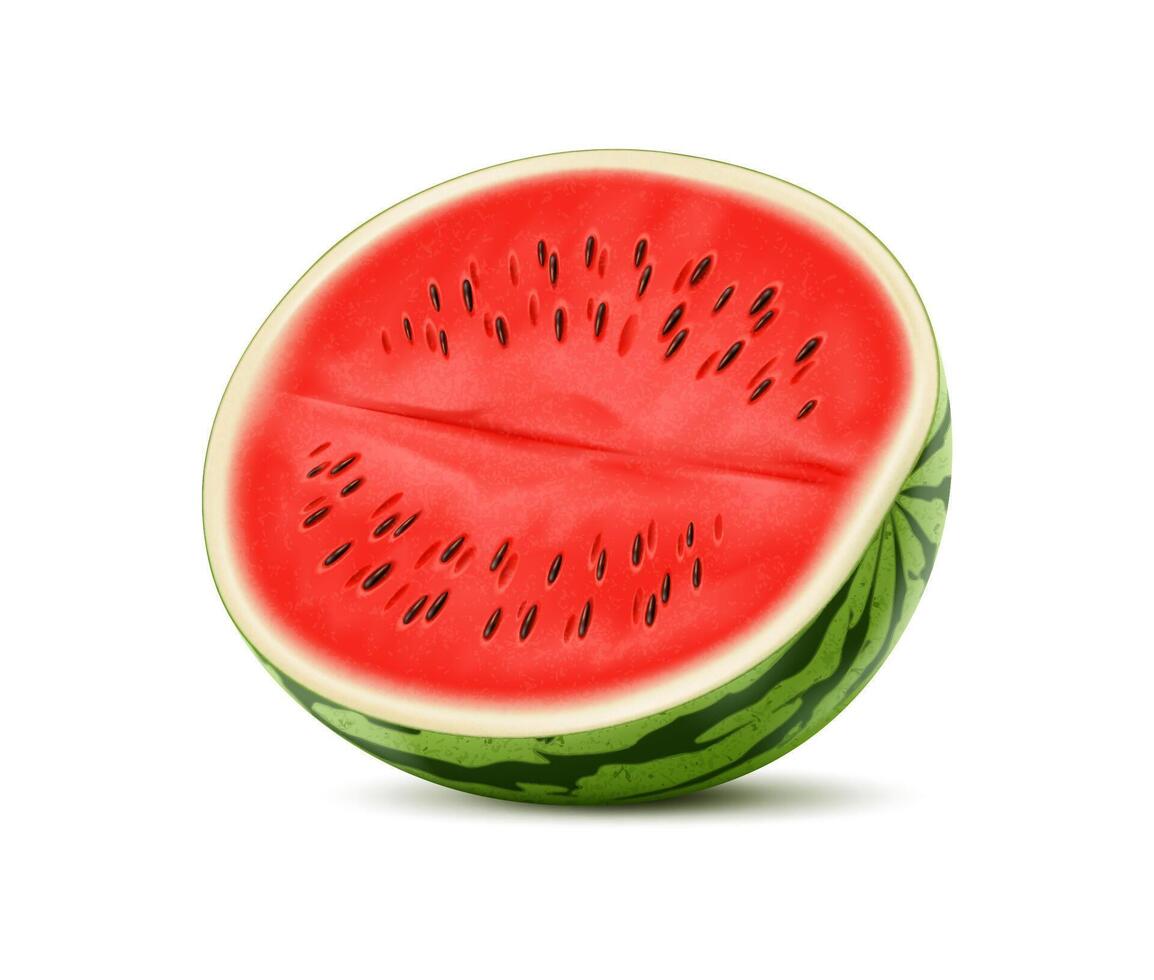 Realistic ripe raw watermelon fruit half 3d vector