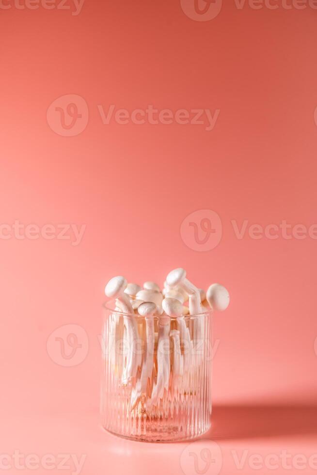 shimeji mushrooms in glass, on pink, peach fuzz background photo