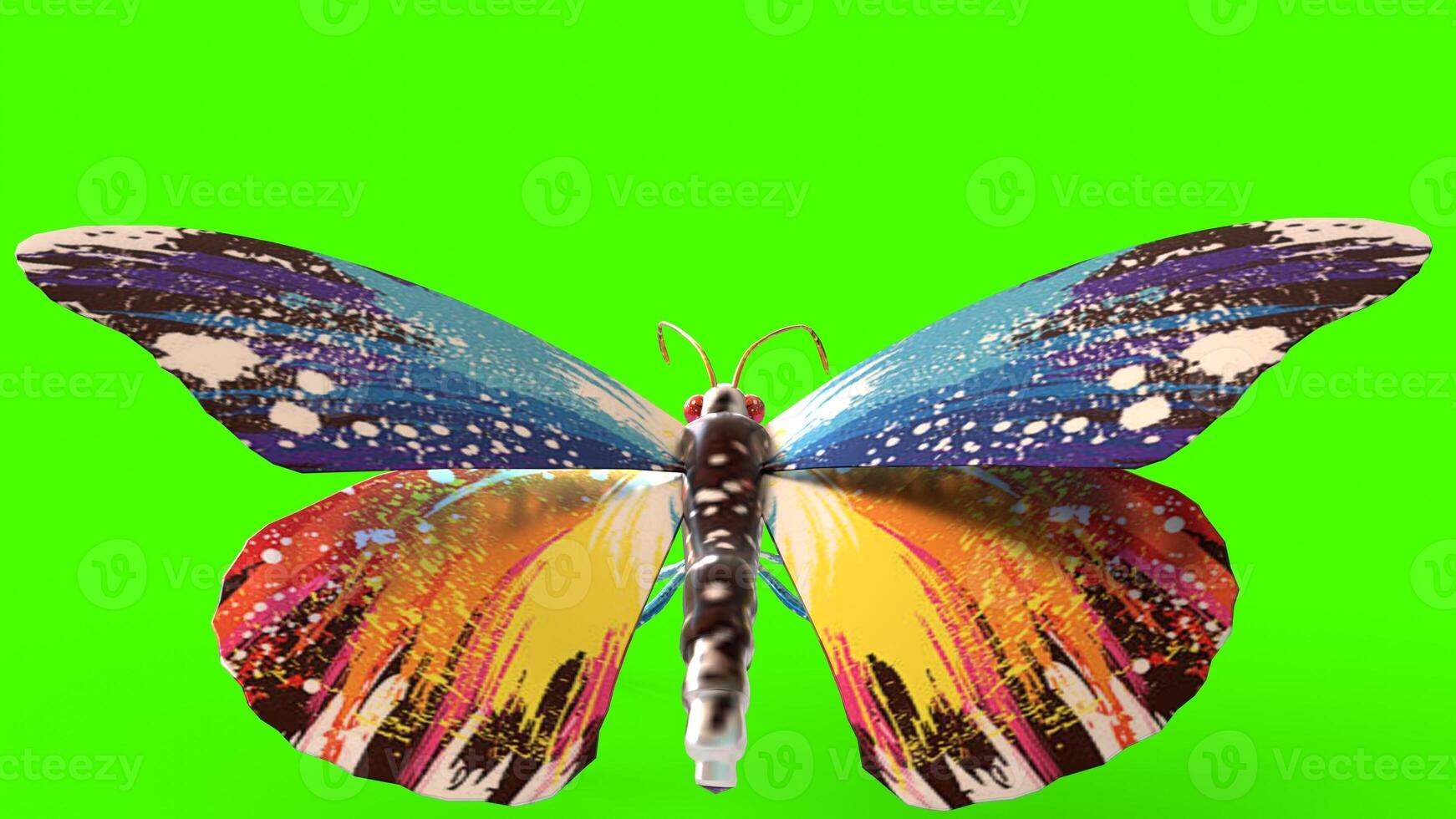 butterfly with green background photo