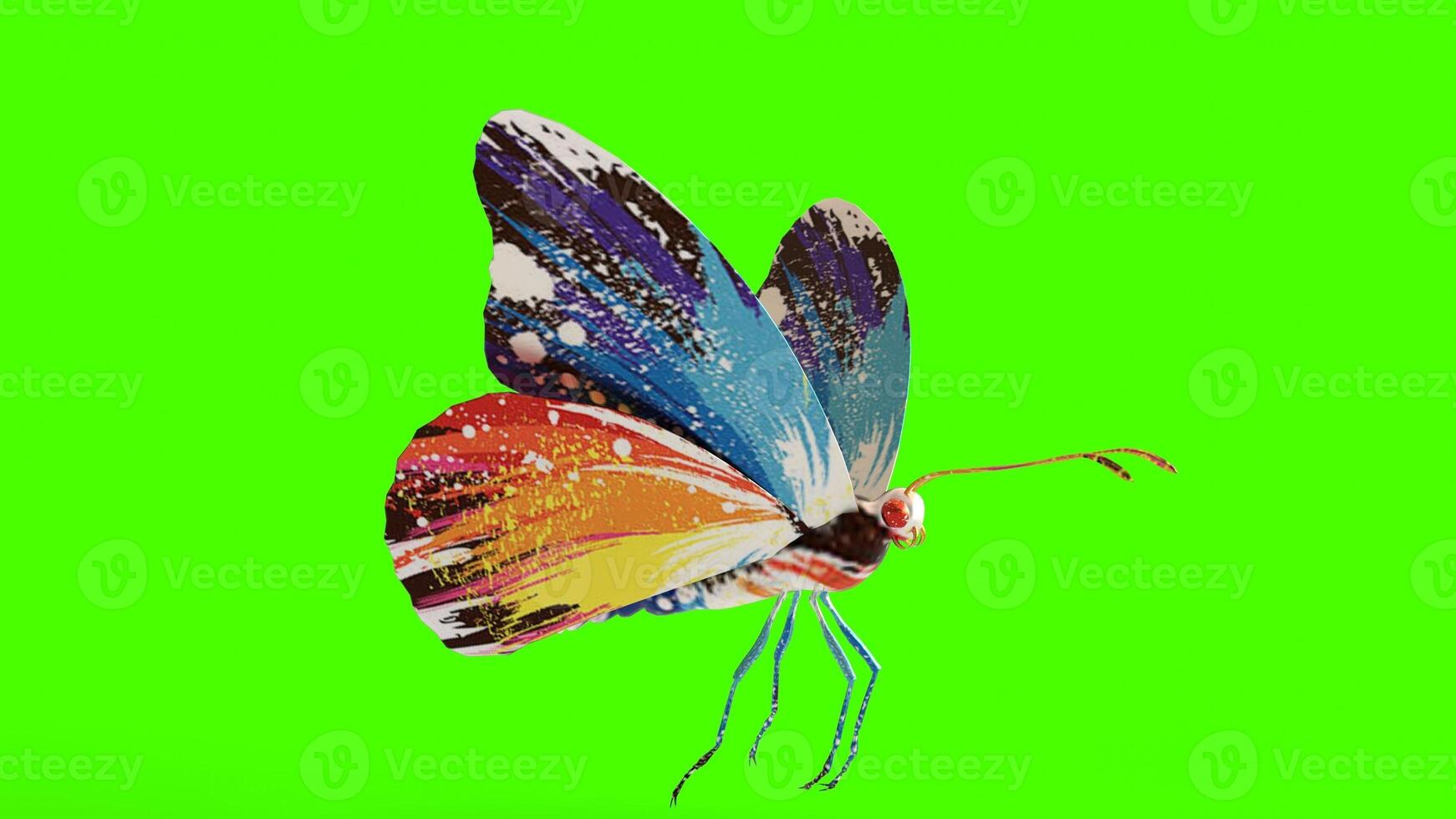 butterfly with green background photo