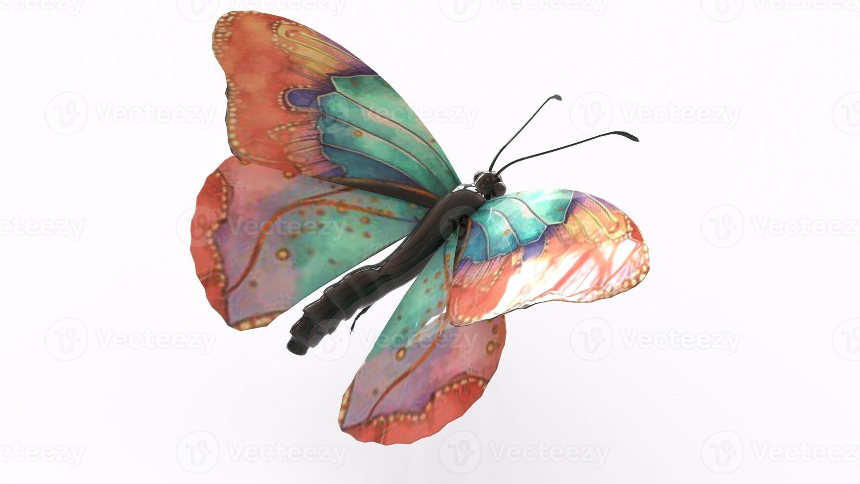 colorful butterfly with white background photo