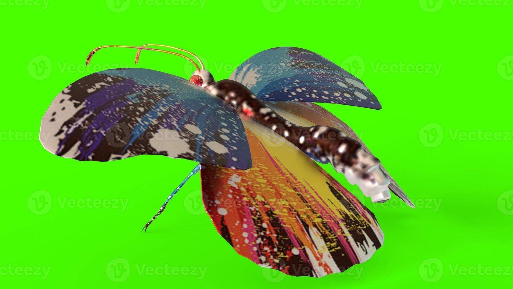 butterfly with green background photo