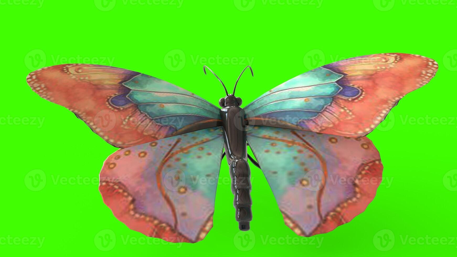 colorful butterfly with green background photo