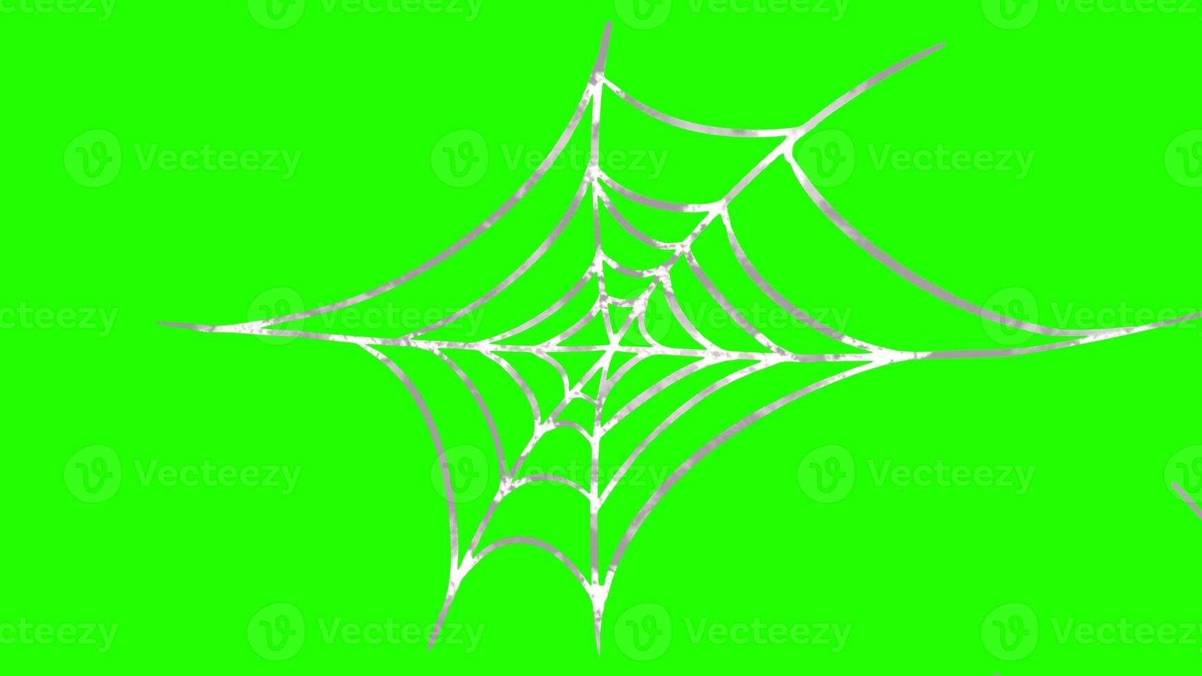 spider webs with green background photo