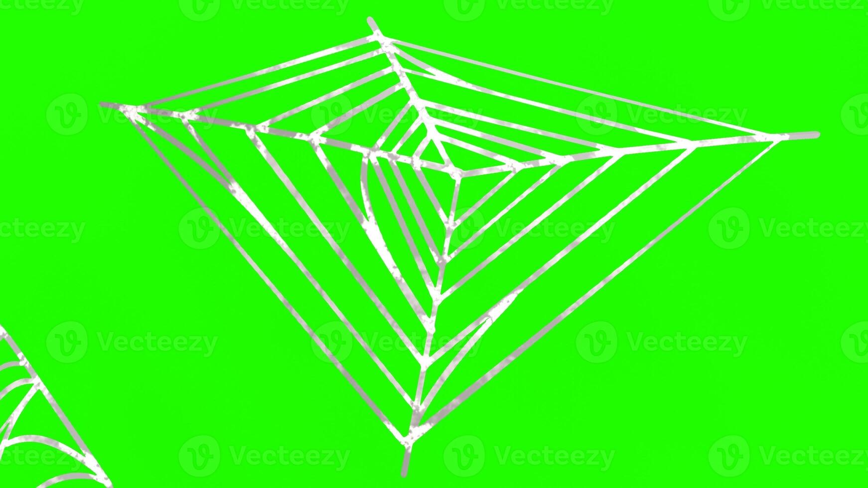 spider webs with green background photo