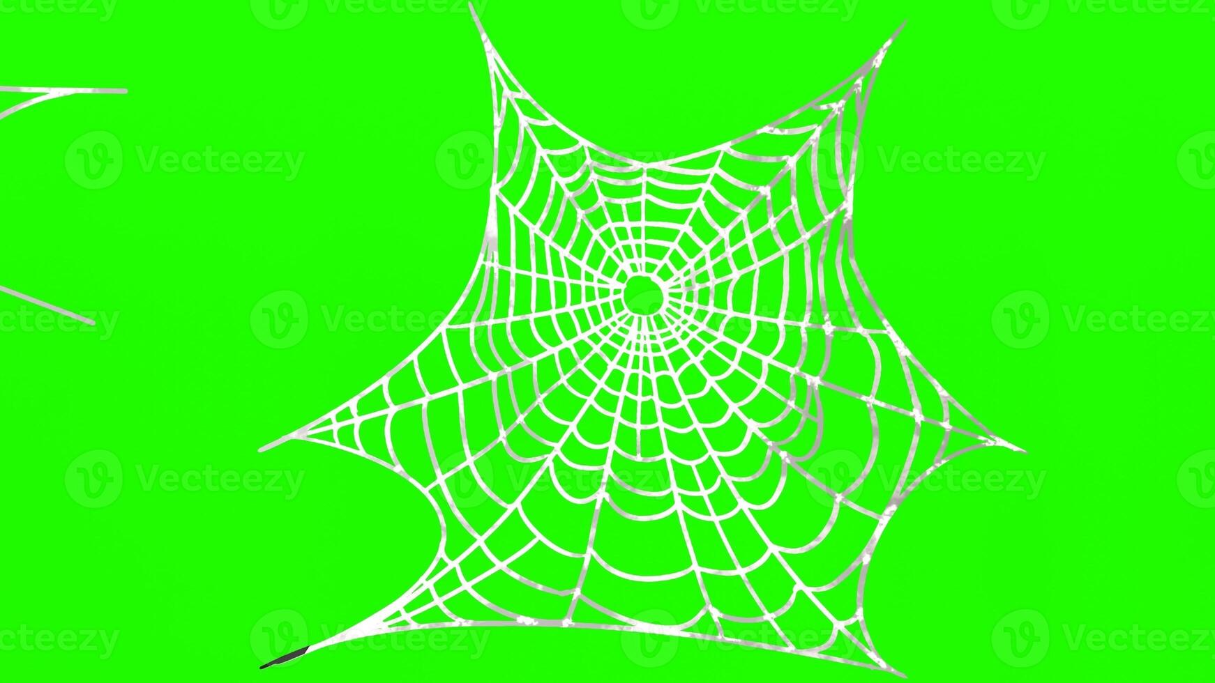 spider webs with green background photo