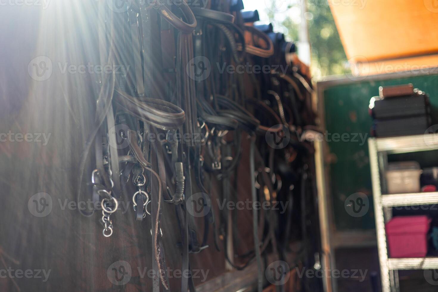 Close-up of horse saddles and harnesses hanging on the stable wall at sunset photo