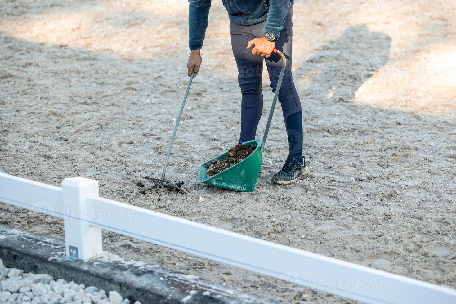 Unrecognizable man cleaning horse manure with rake and scoop at equestrian center photo