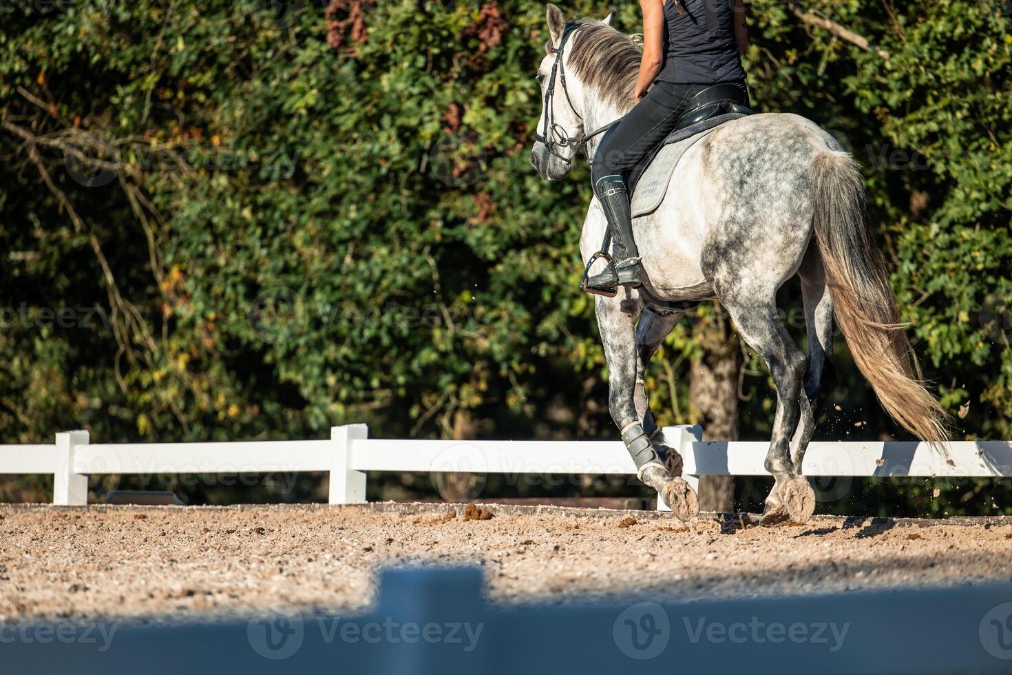 unrecognizable female rider seen from behind riding her horse across the ranch photo