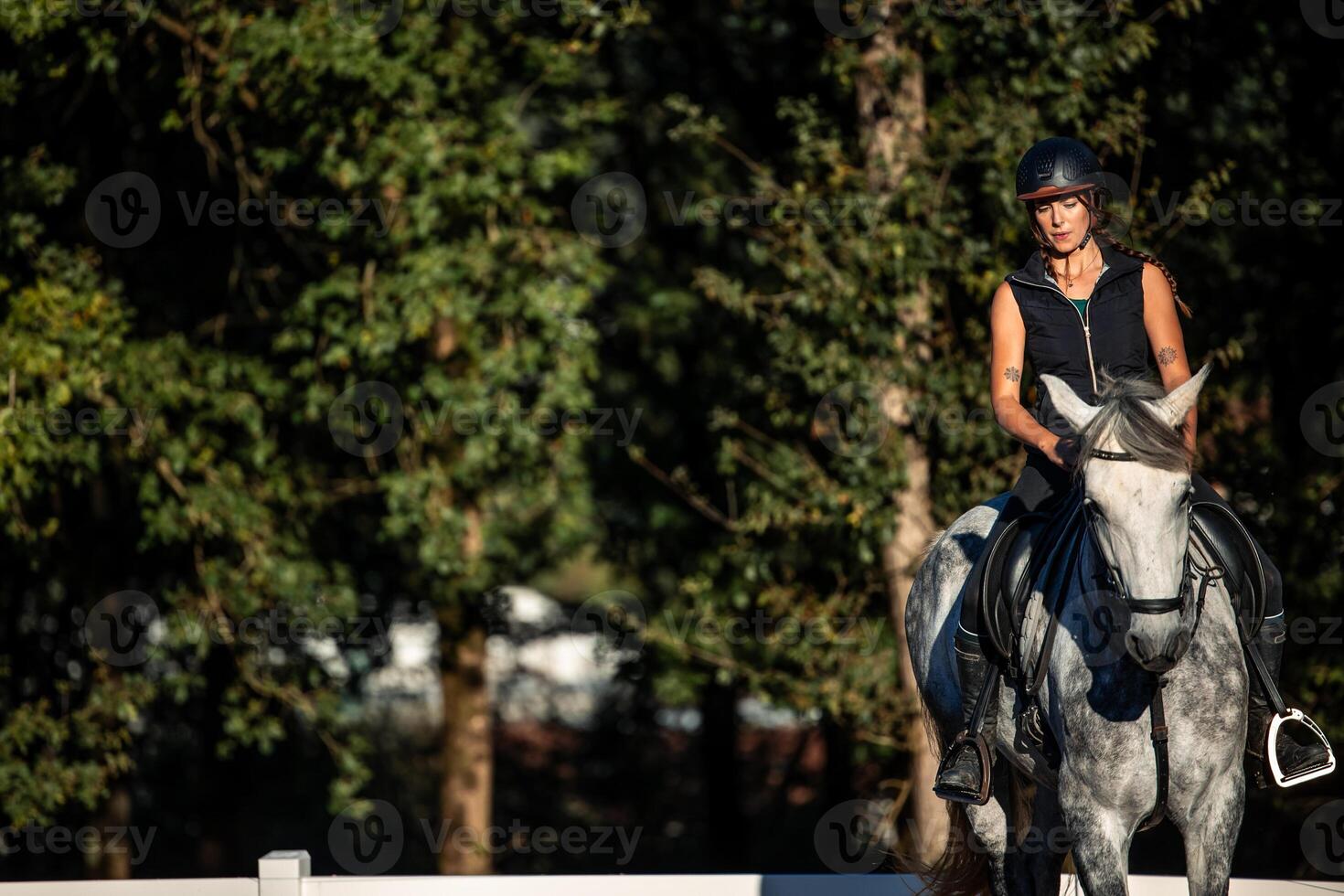 copyspace Young woman rider training with her horse at the ranch with green trees in the background photo