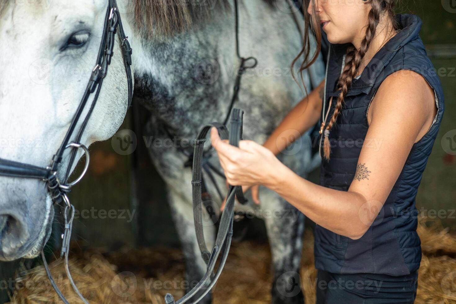 Close-up of an unrecognized young woman rider fastening the reins on her horse in the stable photo