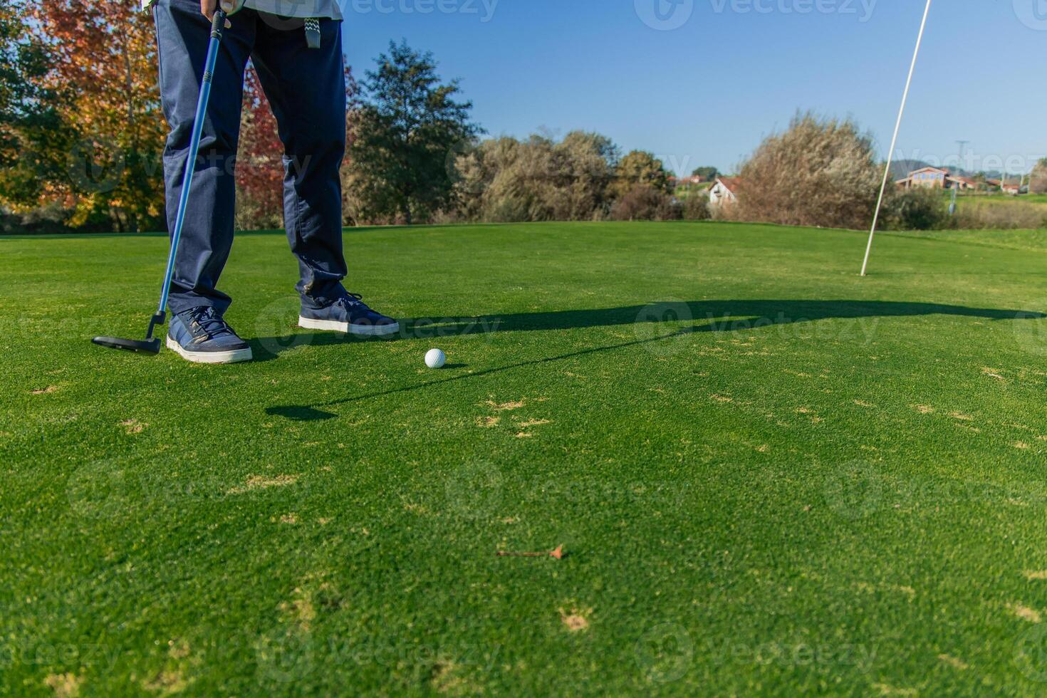 unrecognizable elderly golfer hitting the ball with the putter towards the hole on the green photo