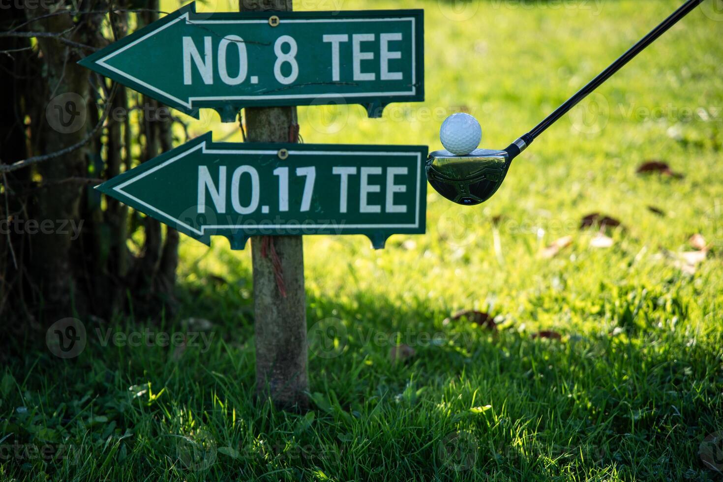 Golf ball on a club near directional tee signs on a golf course closeup photo
