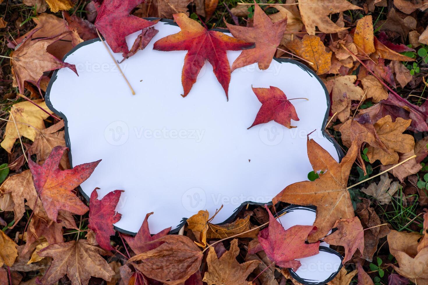 Empty thought bubble lying on colorful autumn leaves photo