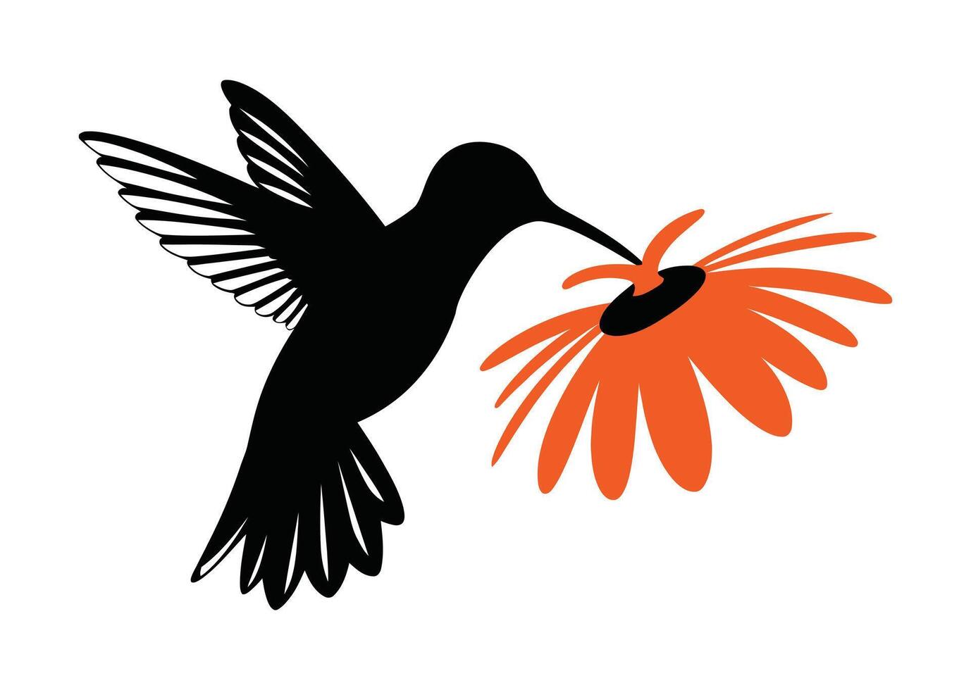Silhouette of a Hummingbird Feeding on a Flower. Sweet flower honey eating hummingbird vector