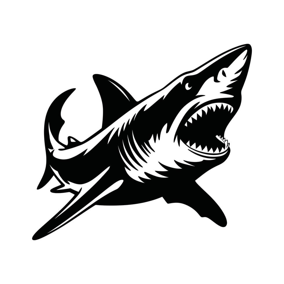 Powerful shark illustration in bold black and white style. vector