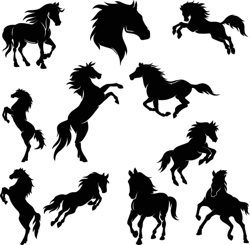 Horse SIlhouette Illustration vector