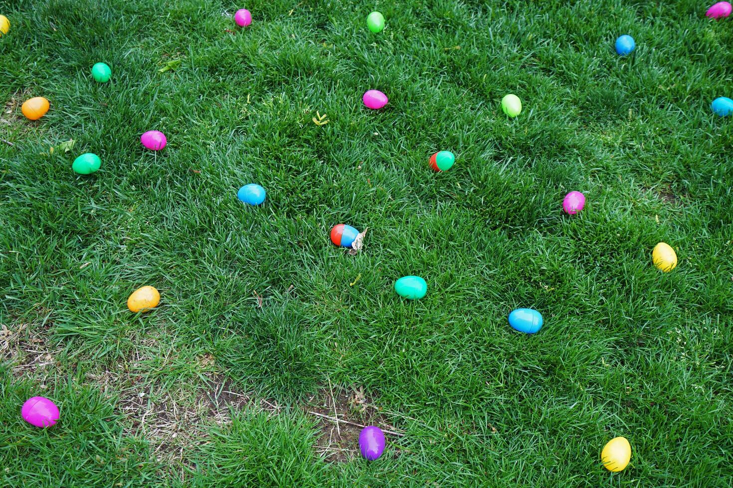 Colorful Easter eggs laying on green grass park photo