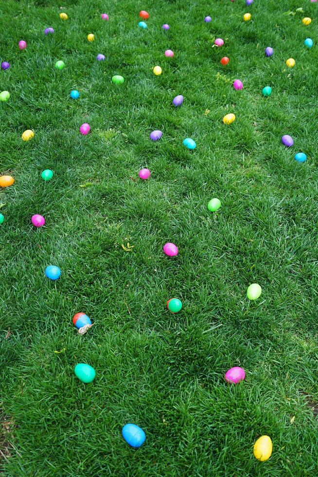 Colorful Easter eggs laying on green grass park photo