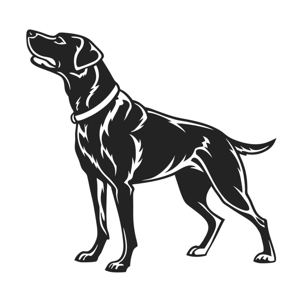 A bold, black and white silhouette of a dog, likely a Labrador Retriever, standing alert and poised. vector
