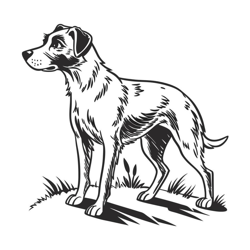 black and white silhouette of a dog, likely a Labrador Retriever, standing alert and poised. vector
