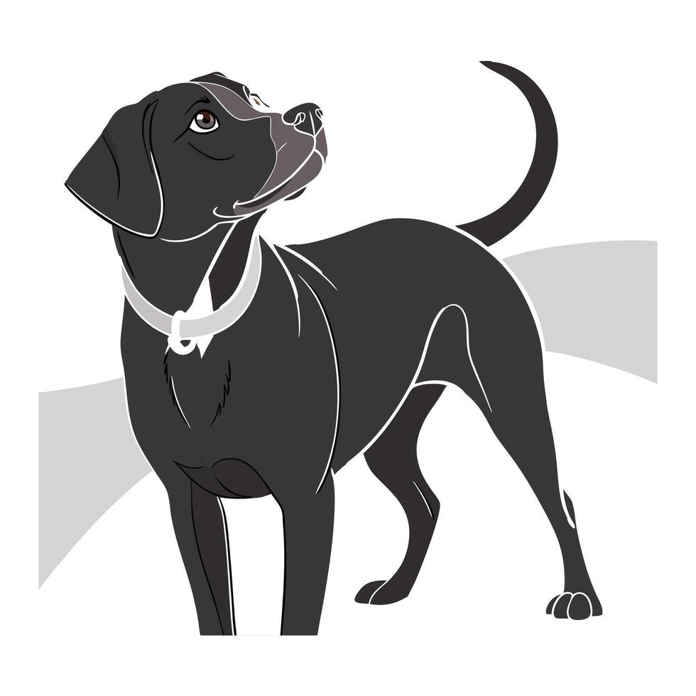 black and white silhouette of a standing dog, likely a breed like a Rottweiler or similar large breed, with a confident stance and a slightly upward gaze. vector