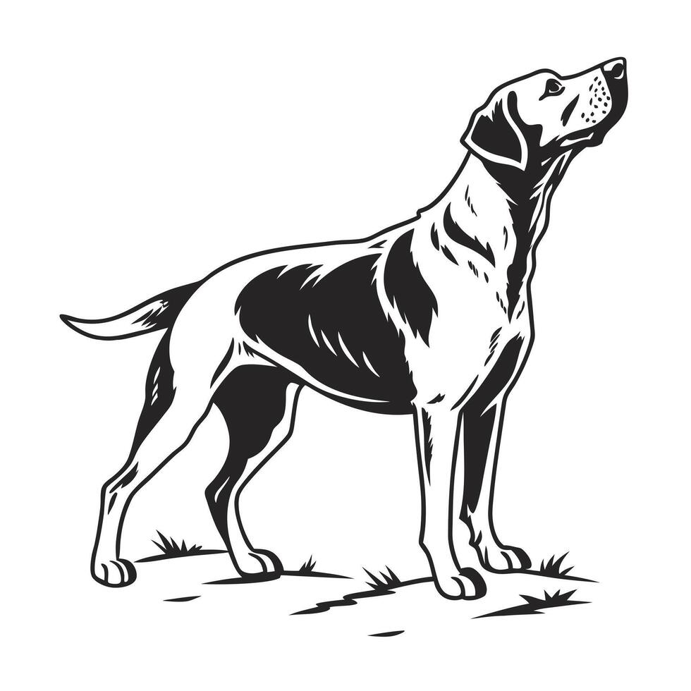 This striking black and white graphic depicts a Border vector