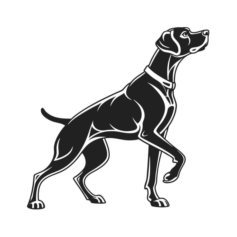 Black and white illustration of a hunting dog vector