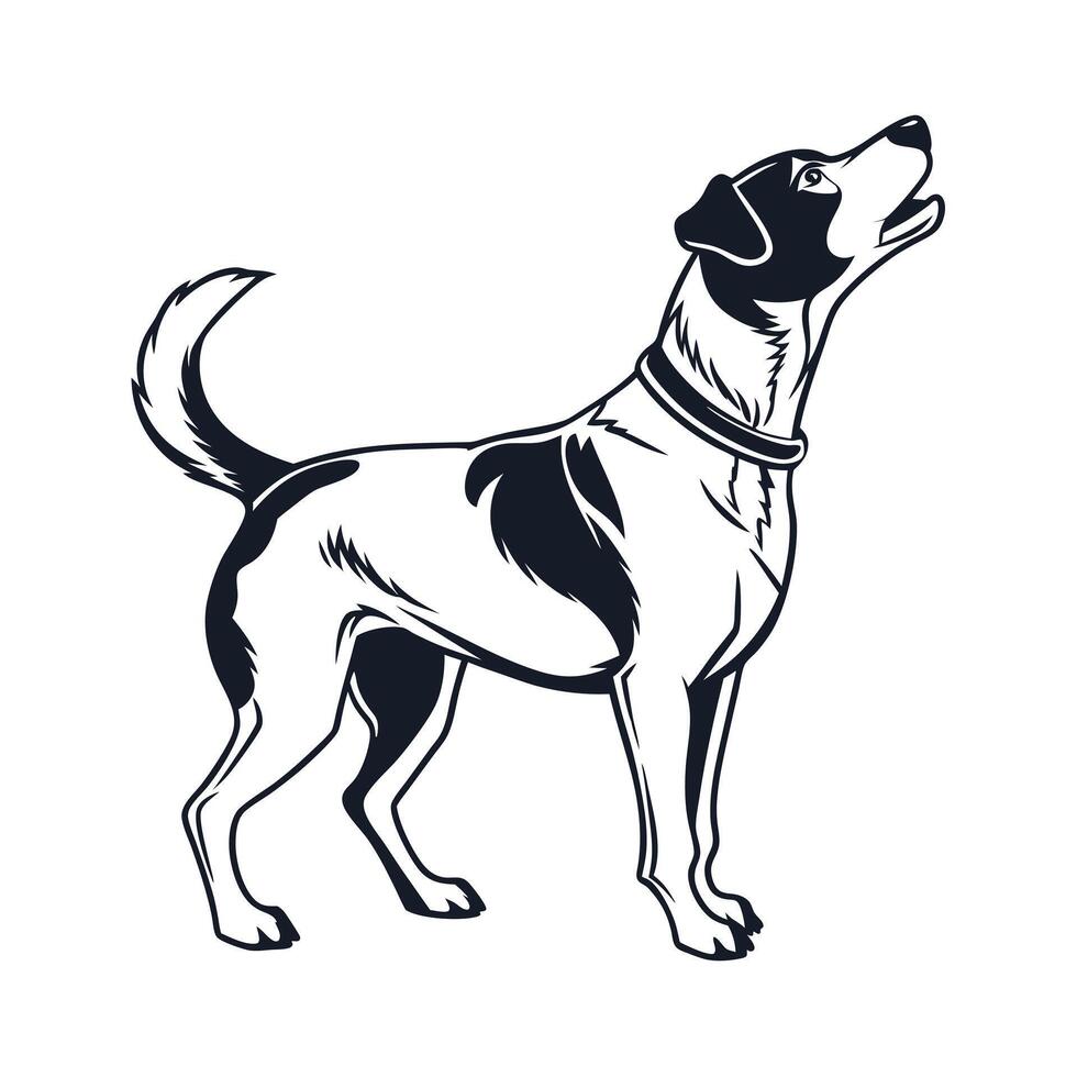 Black and White Illustration of a Sporting Dog vector