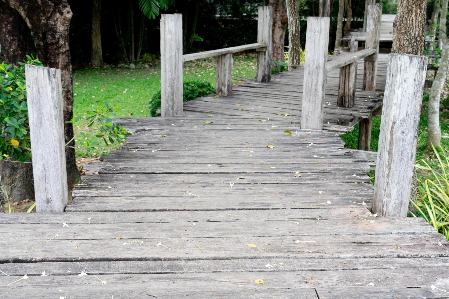 Weathered wooden walkway with railings leading through a green. Wooded area in garden. photo