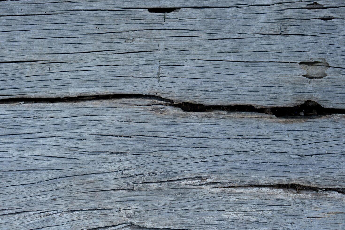 Closeup of weathered gray wood with prominent cracks and grain. Showing signs of age and wear. for background and textured. photo