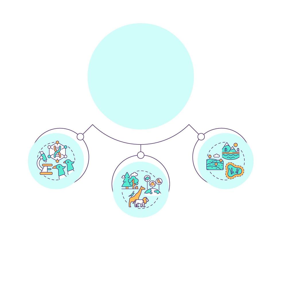 Types of biodiversity circular diagram infographic. Various ecosystems. Wildlife concepts. Data visualization with 3 options. Hierarchy chart round vector