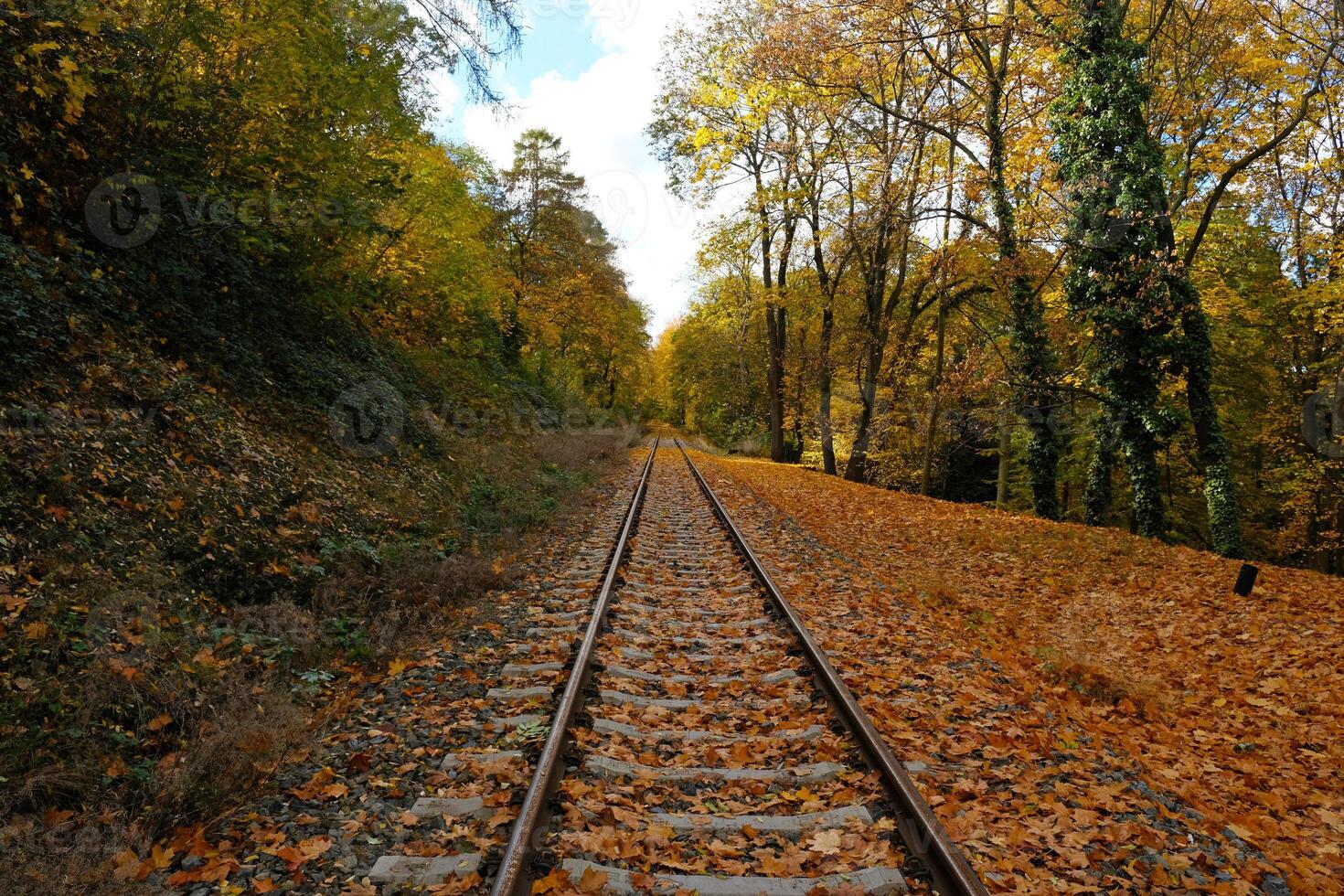 Picturesque landscape of railroad tracks stretching into the distance into autumn forest. Trees in vibrant shades of red, orange and yellow foliage create a stunning natural autumn blurred background. photo