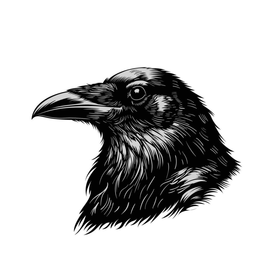 Vintage illustration of crow head vector