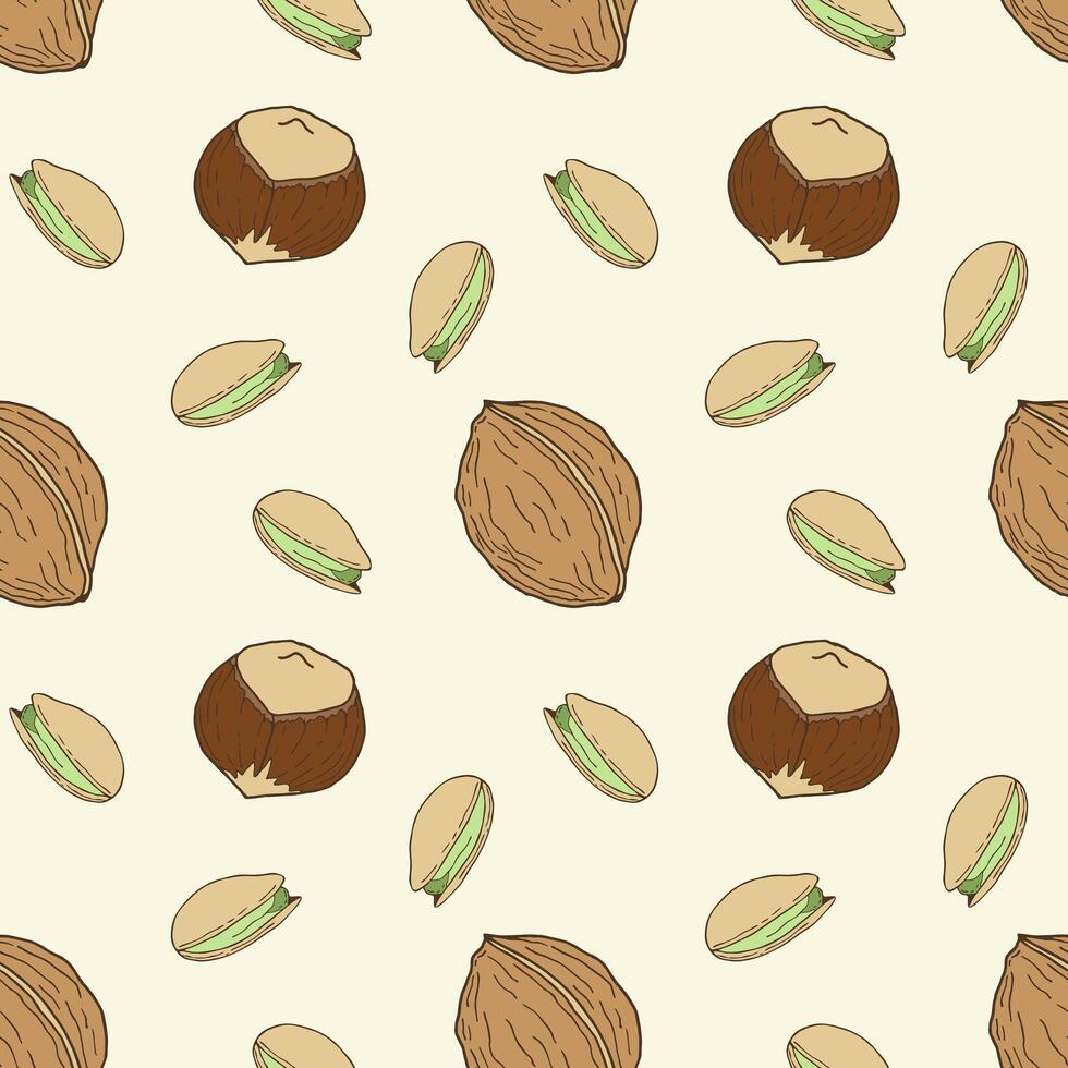 Pattern with nuts, hand drawn walnut pistachio and hazelnut. Healthy eating concept, raw food diet. vector
