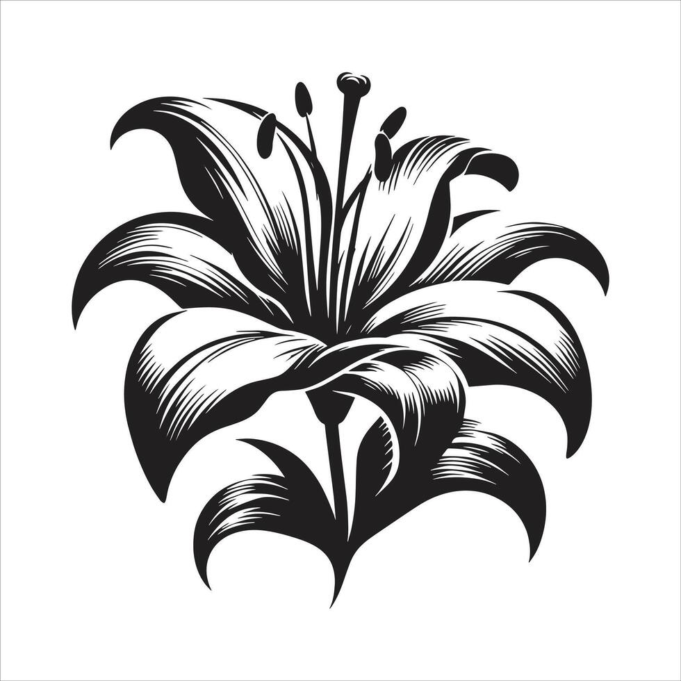 Black and white illustration of a lily flower vector