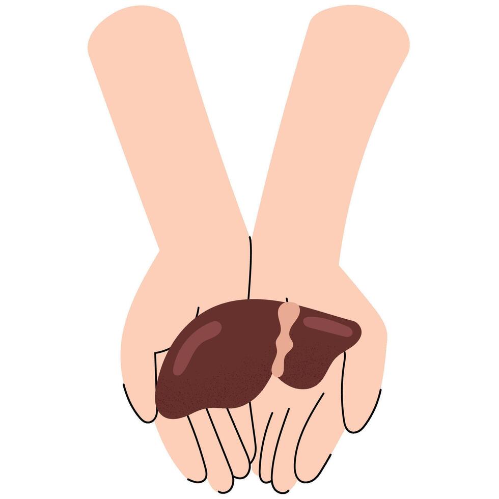 Two hands holding a human liver, symbolizing care and life-saving generosity. National Organ Donor day. vector