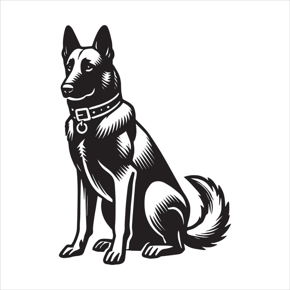 Belgian malinois dog sitting in front of white background vector