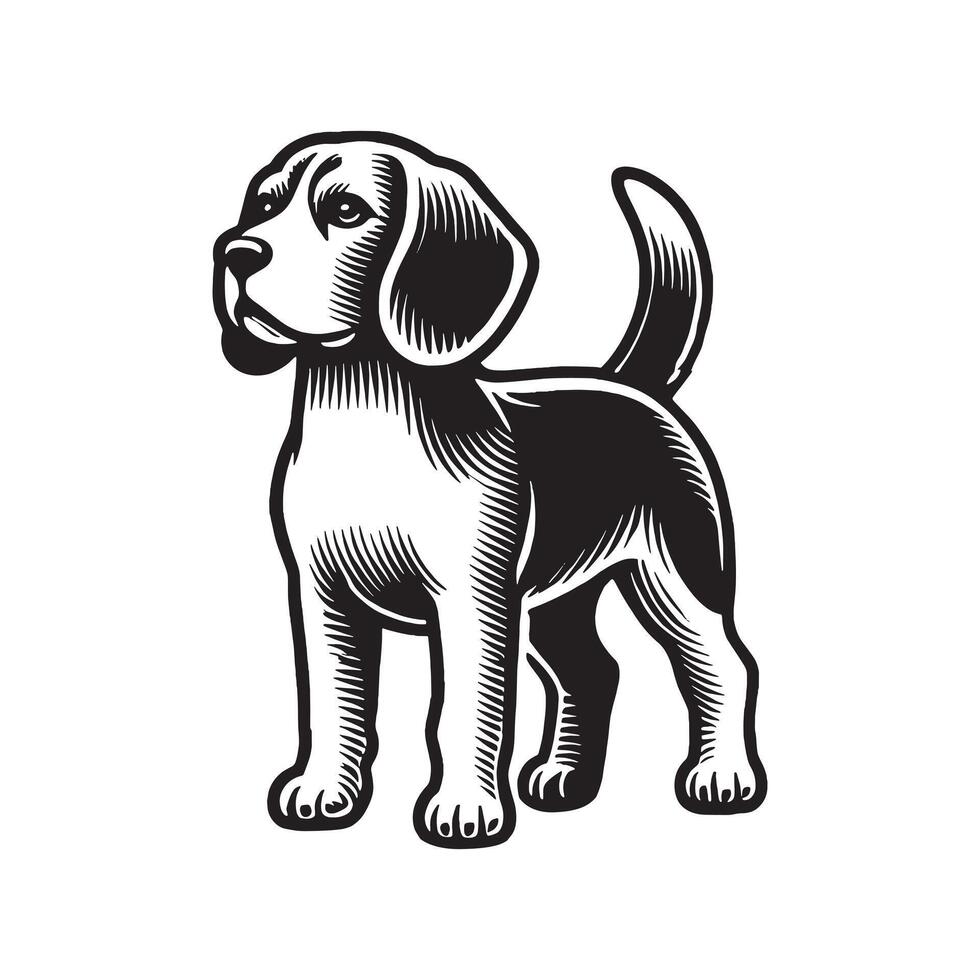Beagle Dog Relex standing Design Black and White vector