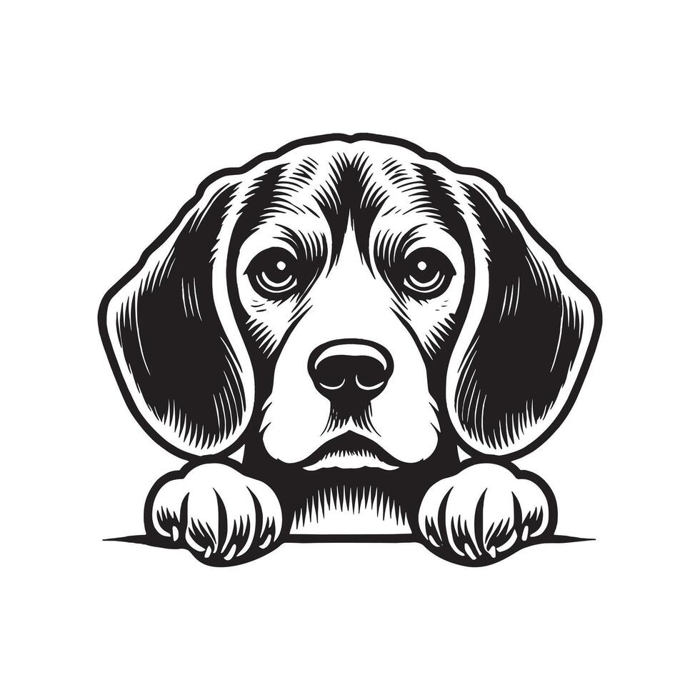Beagle Dog Peeking puppy peeking through a torn hole in the wall vector