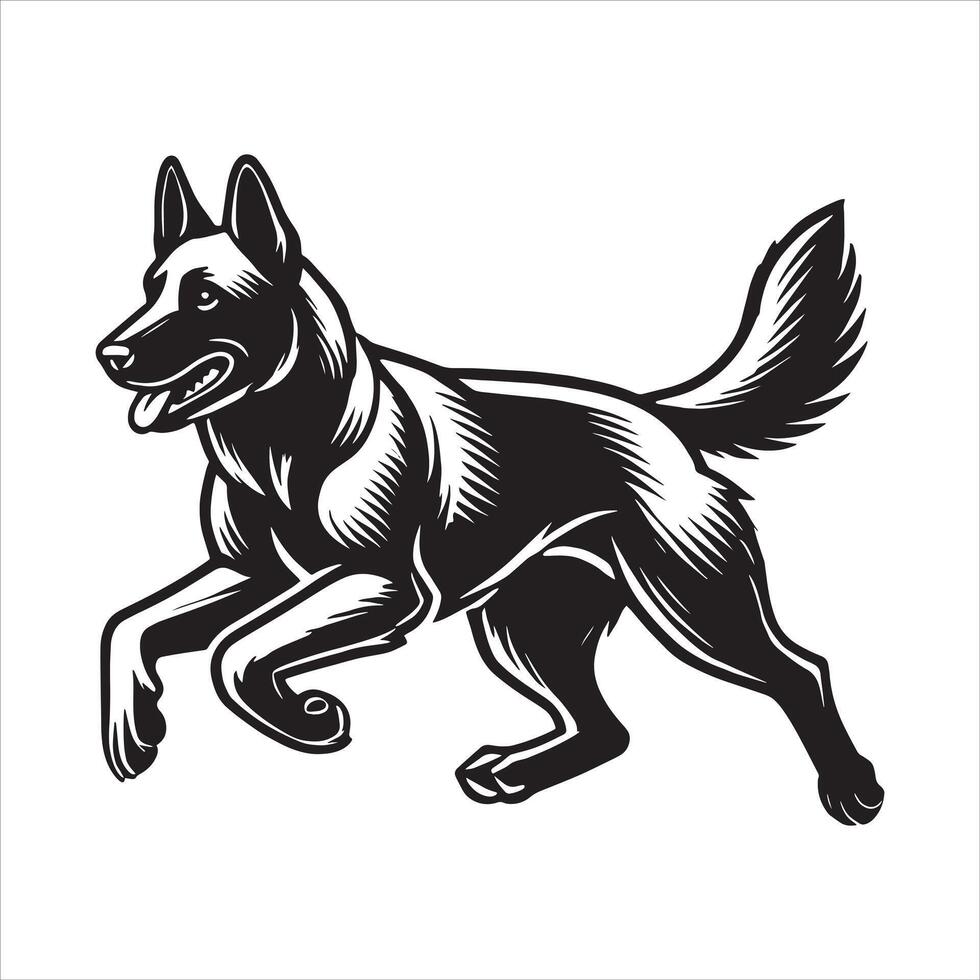 Belgian Malinois dog running and chasing coursing lure on field vector