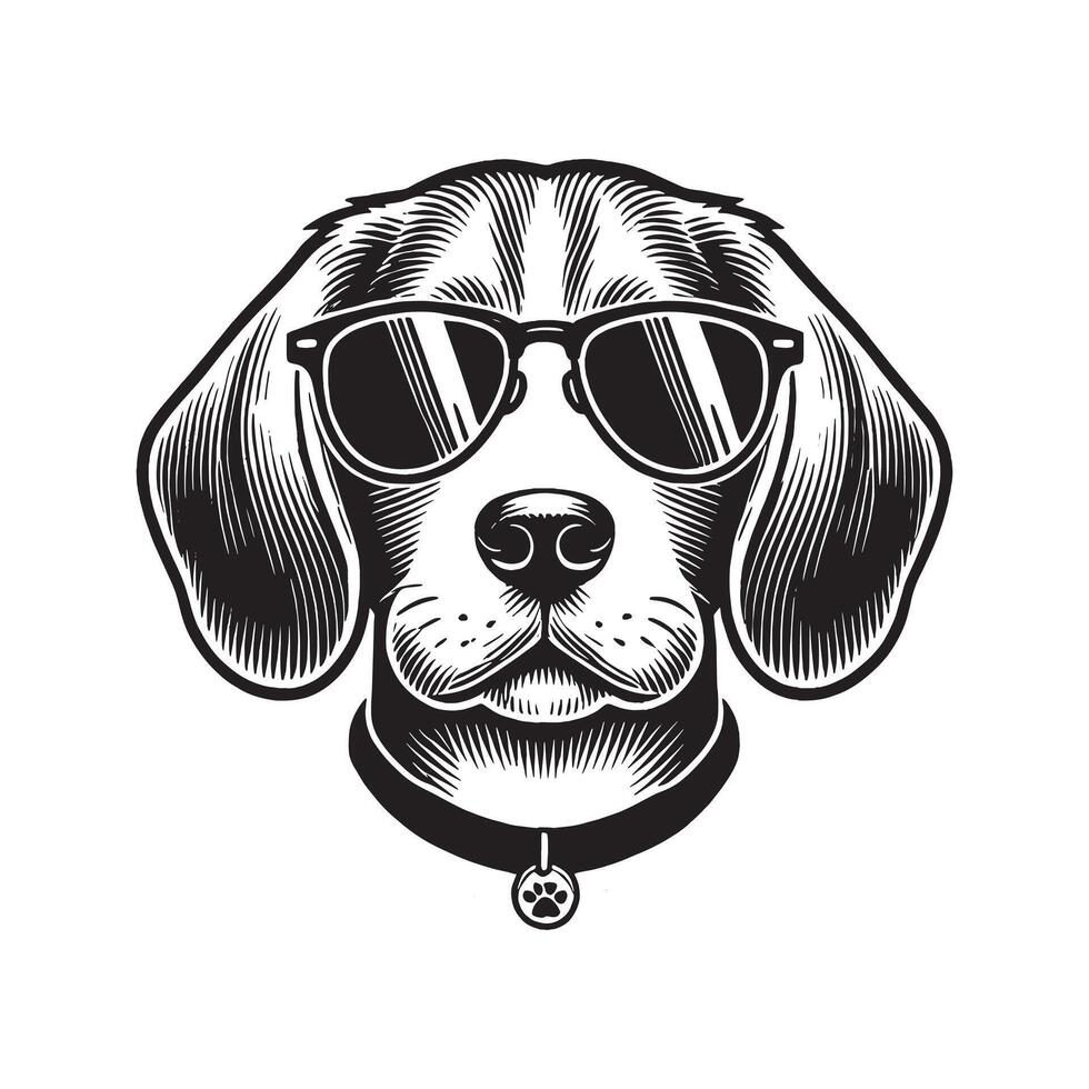 Beagle Dog with sunglasses on dark background vector