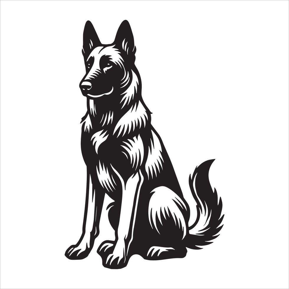 A regal Belgian Malinois sits elegantly on a clean surface vector
