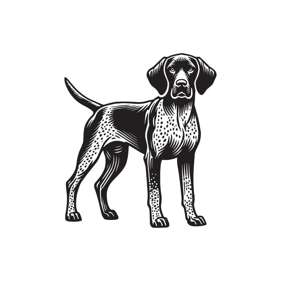 German shorthaired pointer icon clipart avatar logotype isolated illustration vector
