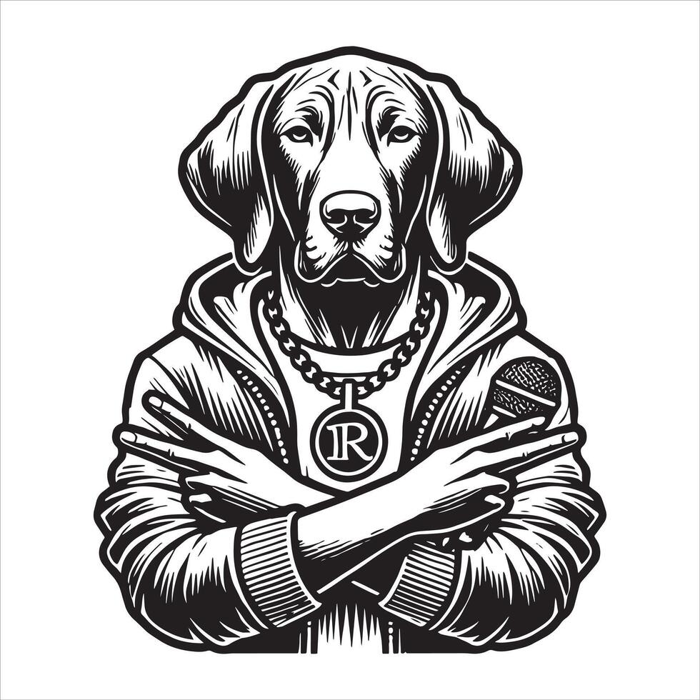 Beautiful brown dog in a studio setting vector